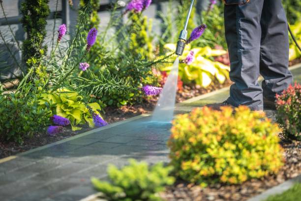 Reliable Fairview Shores, FL Pressure Washing Services Solutions